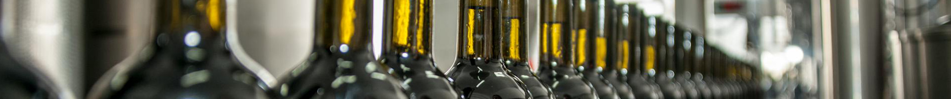 banner-1